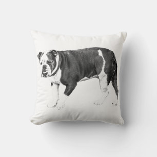 Cojín Decorativo Bulldog Relajado, Sombras Suaves