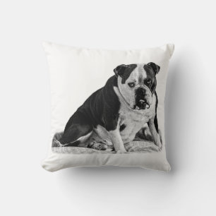 Cojín Decorativo Bulldog sentado, tonos silenciosos