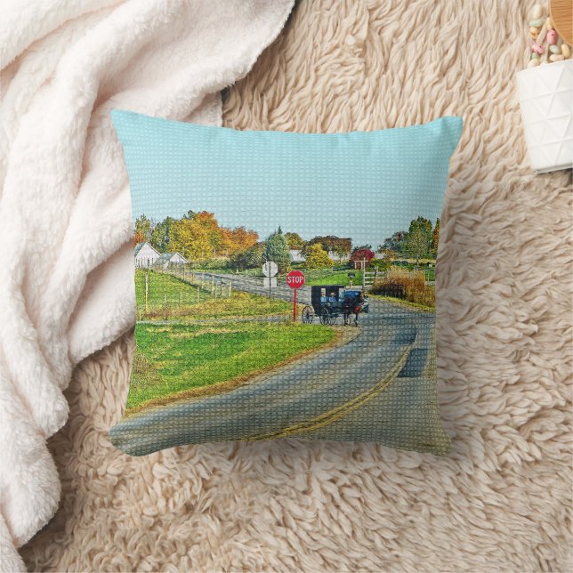 COJÍN DECORATIVO "BURBUJA AMISH EN CAMPO PACÍFICO" (Manta)