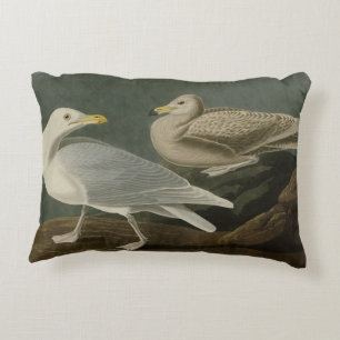 Cojín Decorativo Burgomaster Gull - de Aves de América en Audubon