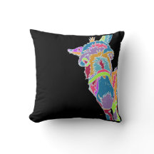 Burro Colorido