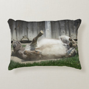 Cojín Decorativo Burro de baño de arena