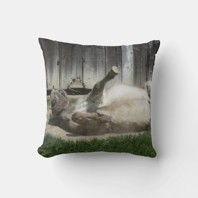 Cojín Decorativo Burro de baño de arena (Anverso)