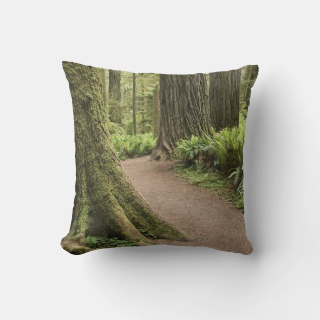 Cojín Decorativo CA, Parque Estatal Jedediah Smith, Simpson-Reed (Anverso)