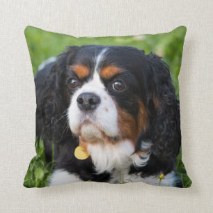 Cojín Decorativo Caballero Tri Color King Charles Spaniel Dog