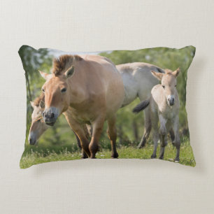 Cojín Decorativo Caballo de Przewalski y potro caminando