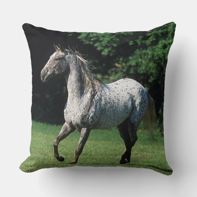 Cojín Decorativo Caballo del Appaloosa que corre 2 (Anverso)