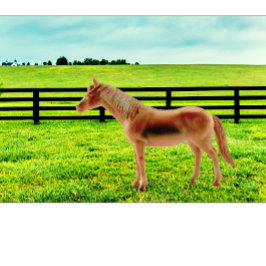 Cojín Decorativo Caballo en la pastura