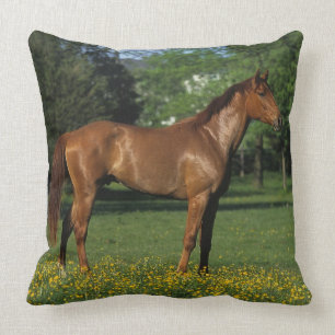 Cojín Decorativo Caballo excelente en flores