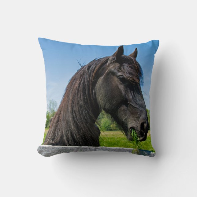 Cojín Decorativo caballo frisón negro (Anverso)