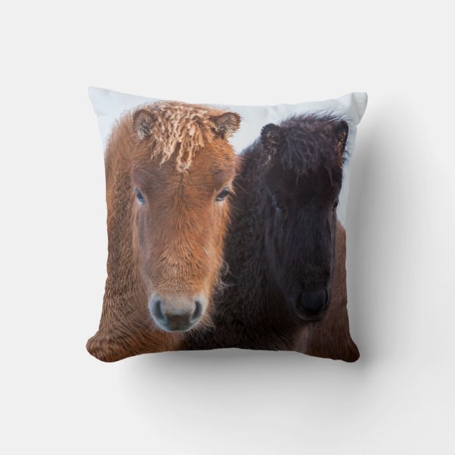 Cojín Decorativo Caballo islandés durante el invierno en Islandia (Anverso)