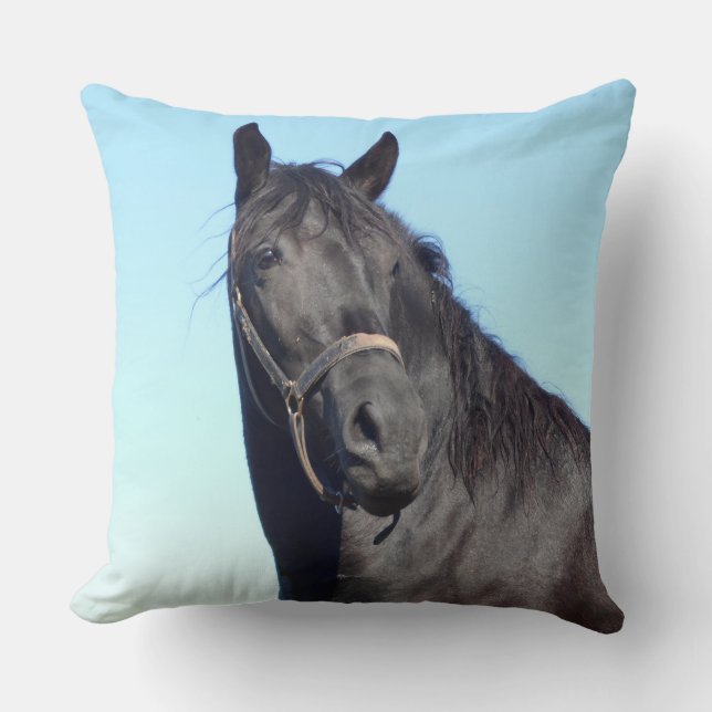 Cojín Decorativo Caballo negro y el cielo azul (Anverso)