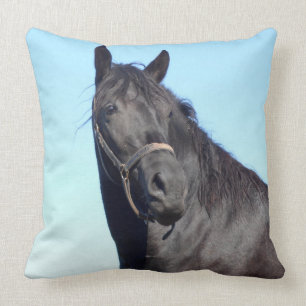 Cojín Decorativo Caballo negro y el cielo azul