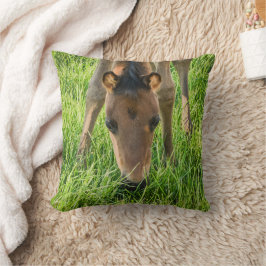 Cojín Decorativo Caballos Bebés Potros Lindos Algodón Verde
