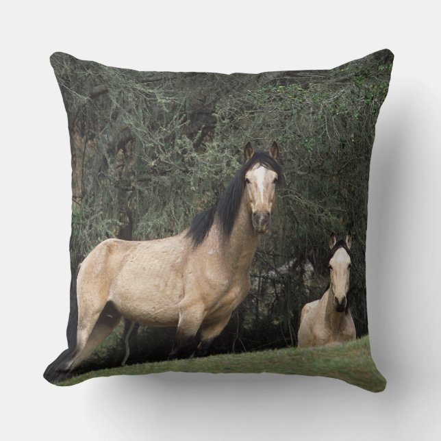 Cojín Decorativo Caballos salvajes 6 del mustango (Anverso)