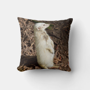 Cojín Decorativo Cabeza de Meerkat Blanco , Cushira