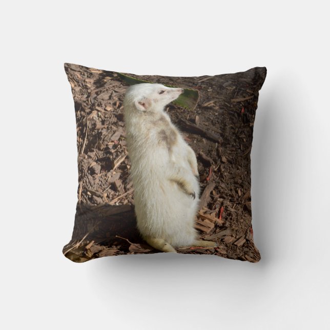 Cojín Decorativo Cabeza de Meerkat Blanco , Cushira (Anverso)