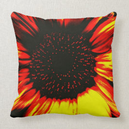 Cojín Decorativo cabeza de semilla de girasol y pétalos contemporán