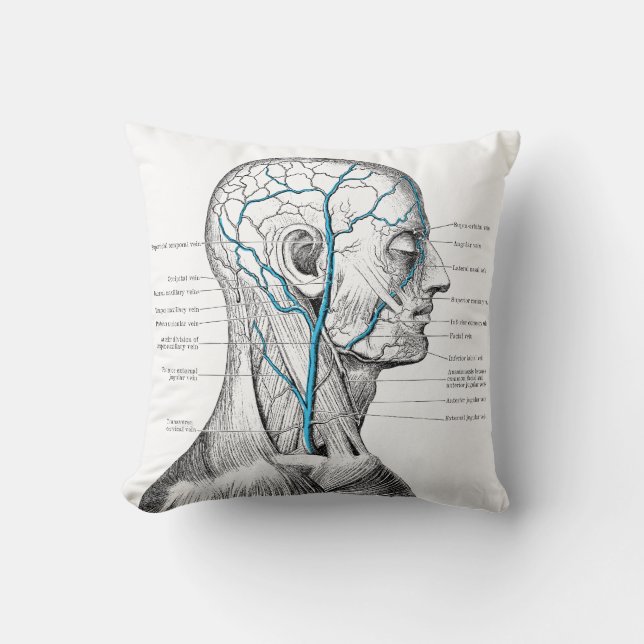 Cojín Decorativo Cabeza y venas - anatomía (Anverso)