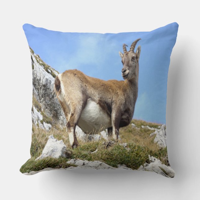 Cojín Decorativo Cabra de montaña (Anverso)