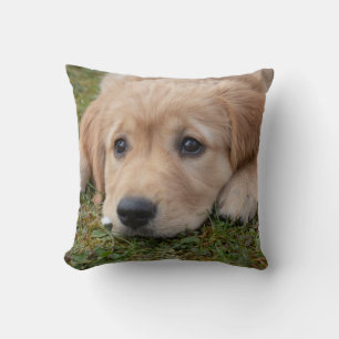 Cojín Decorativo Cachorro Adorable
