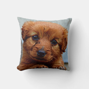 Cojín Decorativo Cachorro Adorable