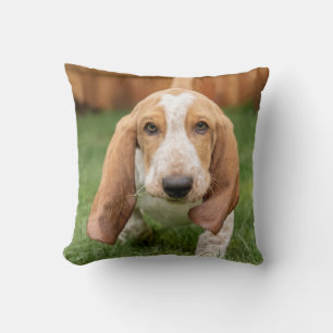 Cojín Decorativo Cachorro Basset Hound Caminando