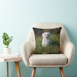 Cojín Decorativo Cachorro blanco adorable