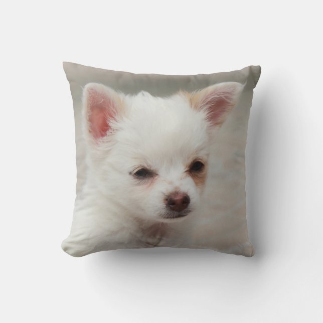 Cojín Decorativo cachorro chihuahua en un jardín (Anverso)