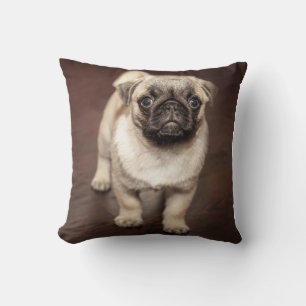Cojín Decorativo Cachorro de cachorro en suelo de madera pulida