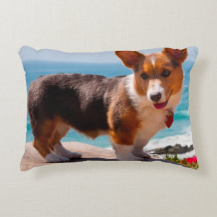 Cojín Decorativo cachorro de Pembroke Welsh Corgi de pie en la mesa