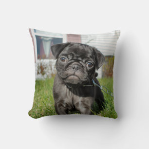 Cojín Decorativo Cachorro de pug negro