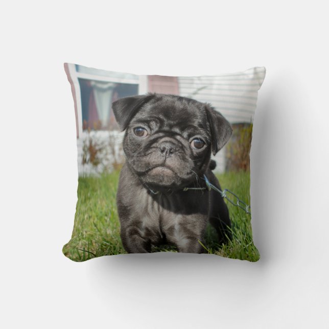 Cojín Decorativo Cachorro de pug negro (Anverso)