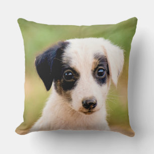 Cojín Decorativo Cachorro lindo