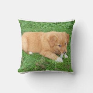 Cojín Decorativo cachorro nova scotia duck tolling retriever