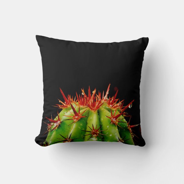 Cojín Decorativo Cactus (Anverso)