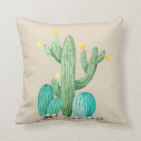 Cactus Cactáceas Suculentas Suroeste Desierto Acua