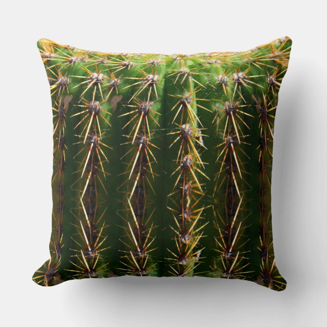 Cojín Decorativo Cactus de barril del amortiguador del Pin (Anverso)