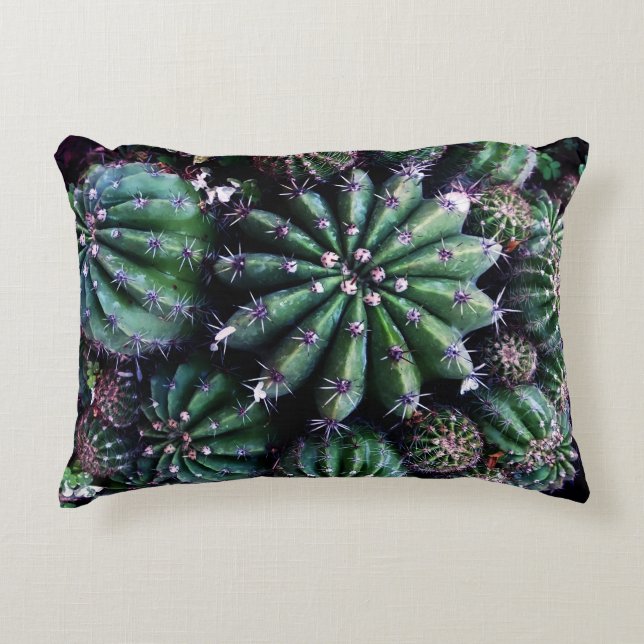 Cojín Decorativo Cactus de planta de interior: Diseño hermoso para  (Anverso)