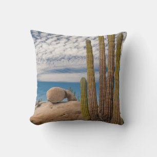 Cojín Decorativo Cactus en el desierto escénico