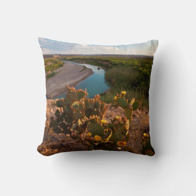 Cojín Decorativo Cactus Pear Prico (Opuntia Sp.) (Anverso)