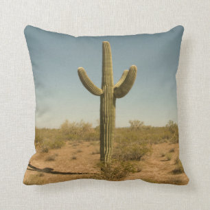 Cojín Decorativo Cactus solitario