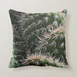 Cojín Decorativo Cactus y espinas del desierto