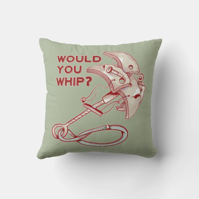 COJÍN DECORATIVO CAÍDA DE LA BOMBA DE CLIMBING (Reverso)