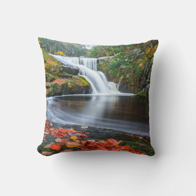 Cojín Decorativo Caídas de Ender en otoño (Anverso)