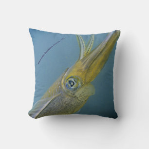 Cojín Decorativo calamar de arrecife de grano, Sepioteuthis lessoni