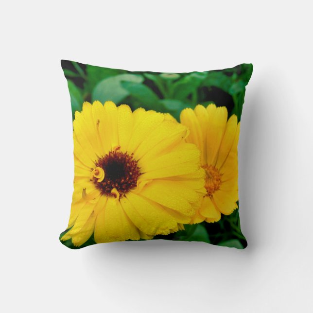 Cojín Decorativo Calendula Officinalis Throw Cushion (Anverso)