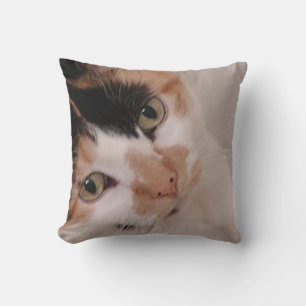 Cojín Decorativo Calico Cat