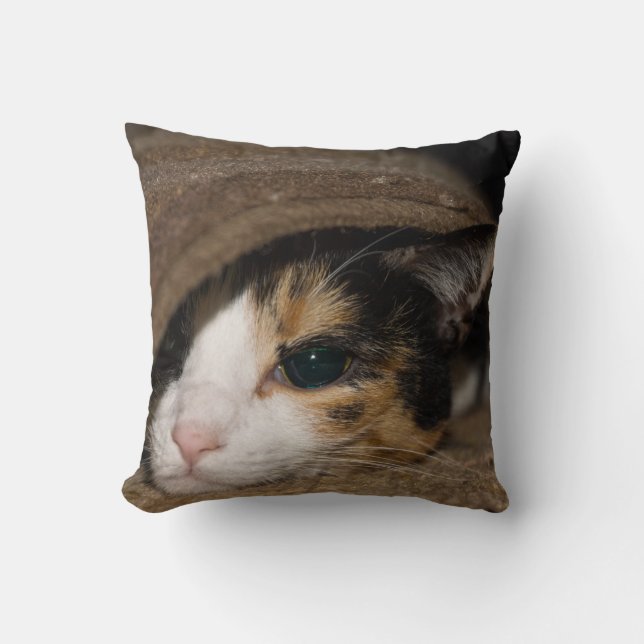 Cojín Decorativo Calico Taco (Anverso)