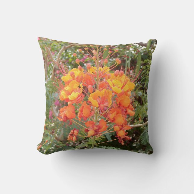 COJÍN DECORATIVO CALIFORNIA DESERT FLOWER #2 (Anverso)